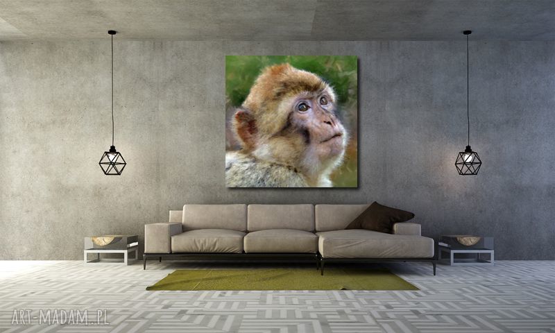 Obraz Małpka 1 100x100 cm na płótnie Canvas - gotowy do zawieszenia