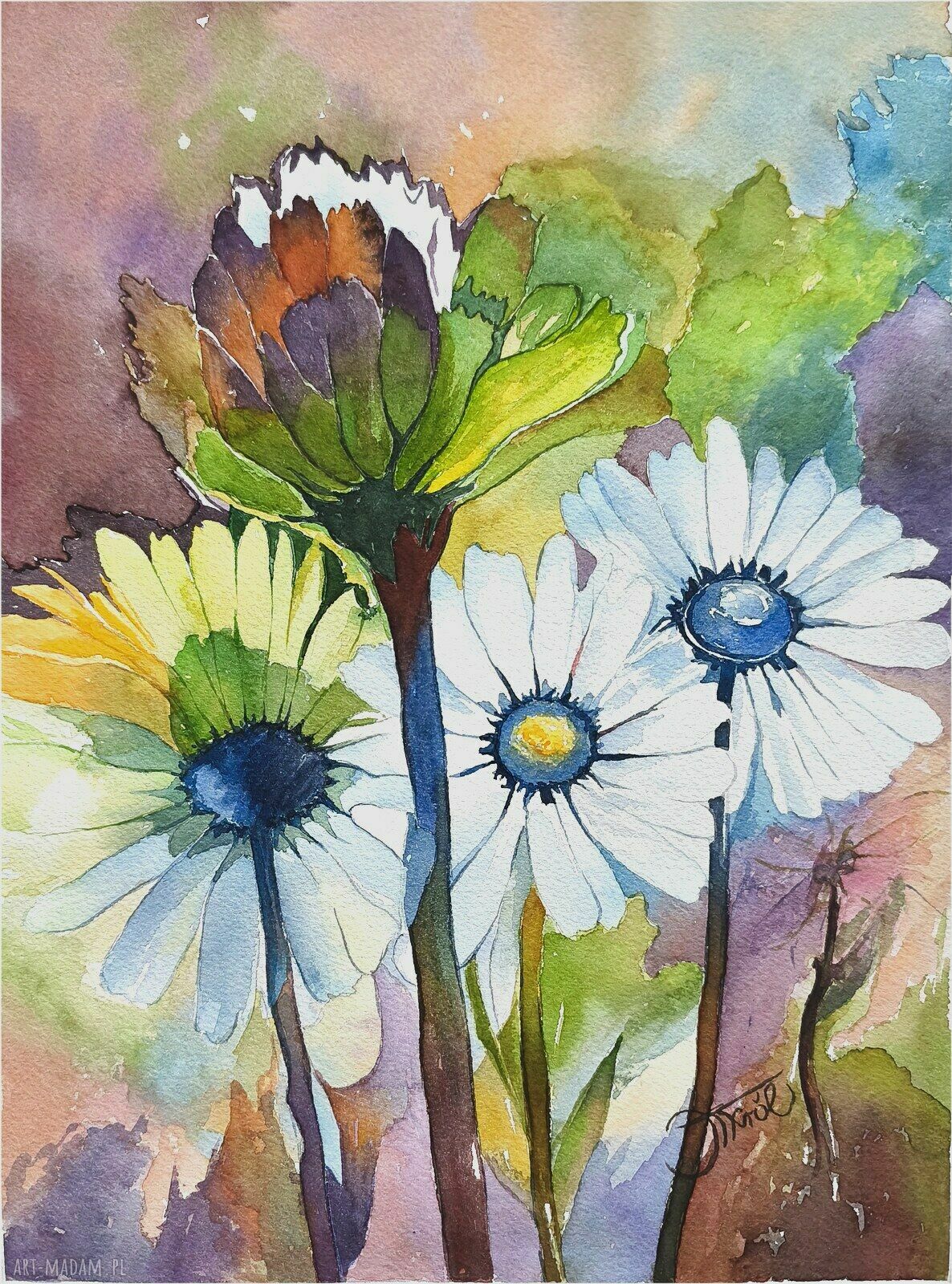 Margerytki obietnica - akwarela 24x32 cm stokrotki