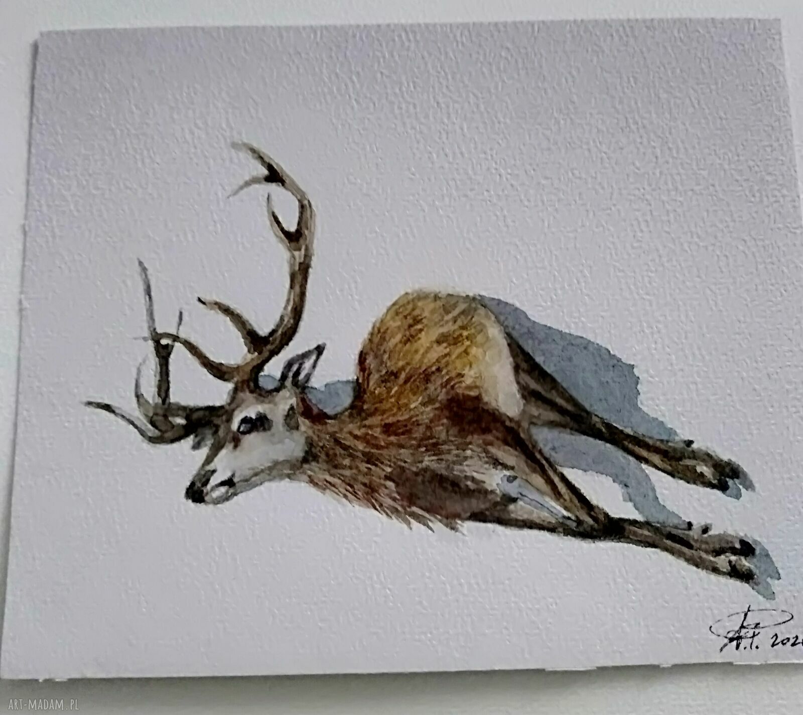 Martwy jeleń - akwarela ręcznie malowana w rustykalnym realizmie 18x15 cm