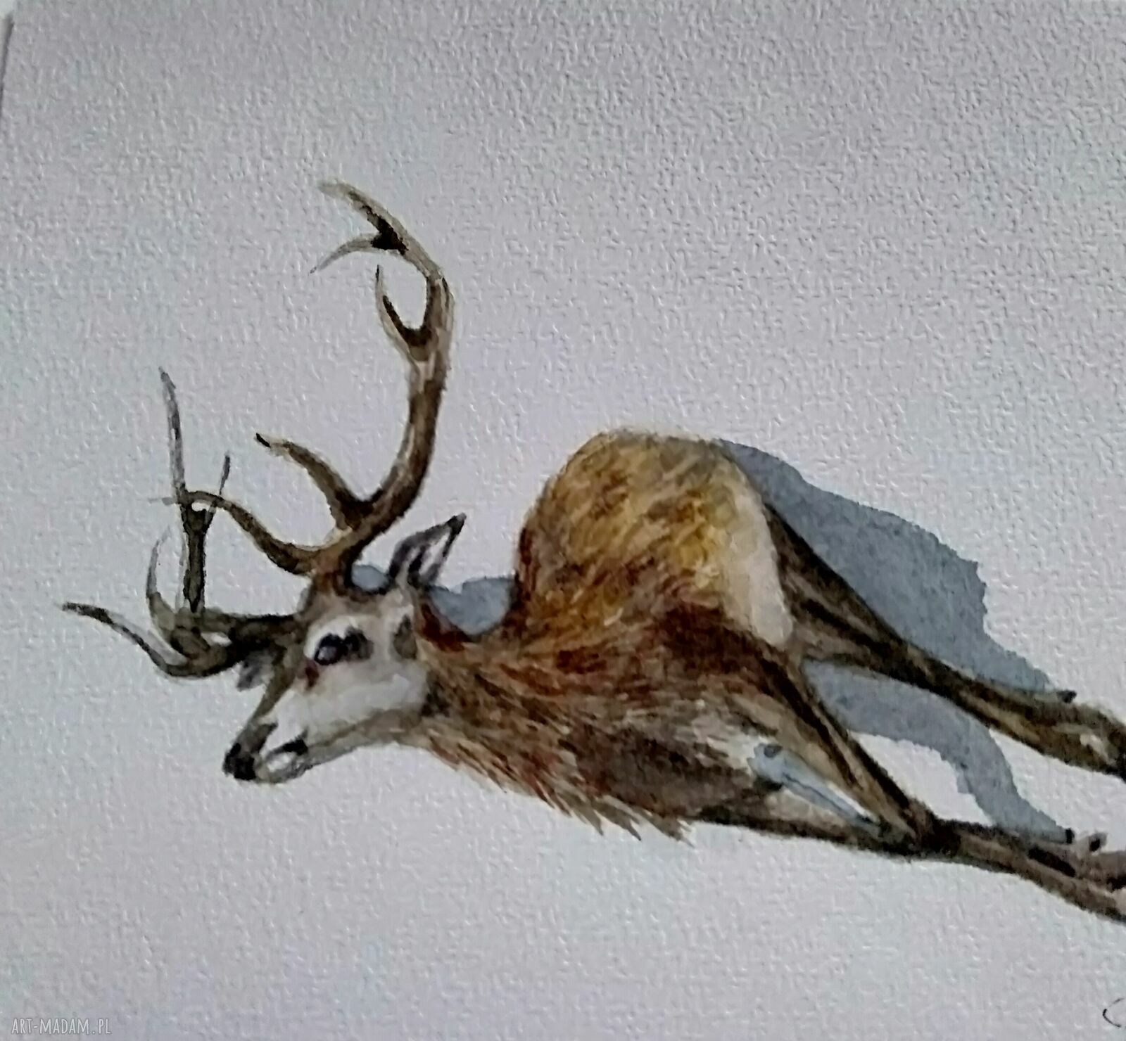 Martwy jeleń - akwarela ręcznie malowana w rustykalnym realizmie 18x15 cm