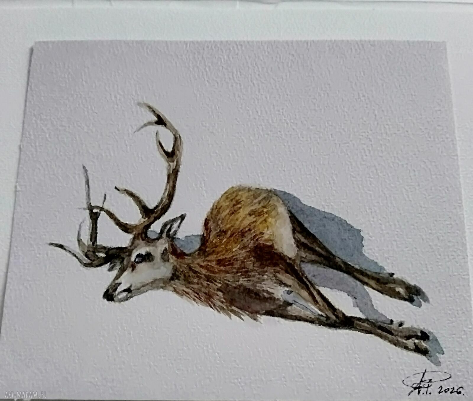 Martwy jeleń - akwarela ręcznie malowana w rustykalnym realizmie 18x15 cm