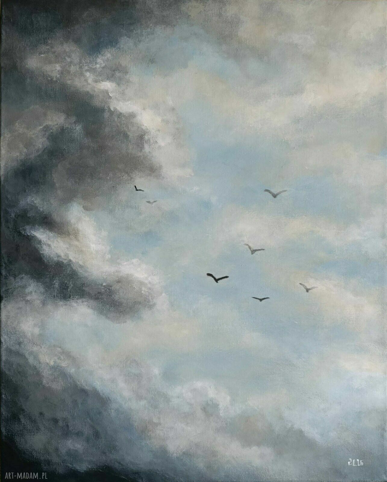 Marzenia - obraz akrylowy 50x40 cm: chmury, niebo i ptaki
