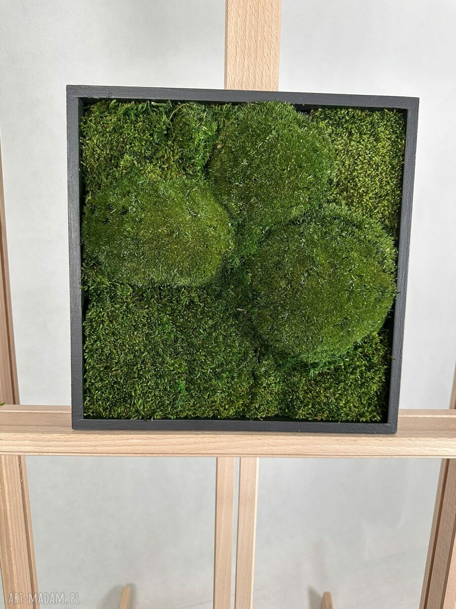 Mech Kwadrat - obraz z mchu stabilizowanego 25x25 cm w czarnej ramce