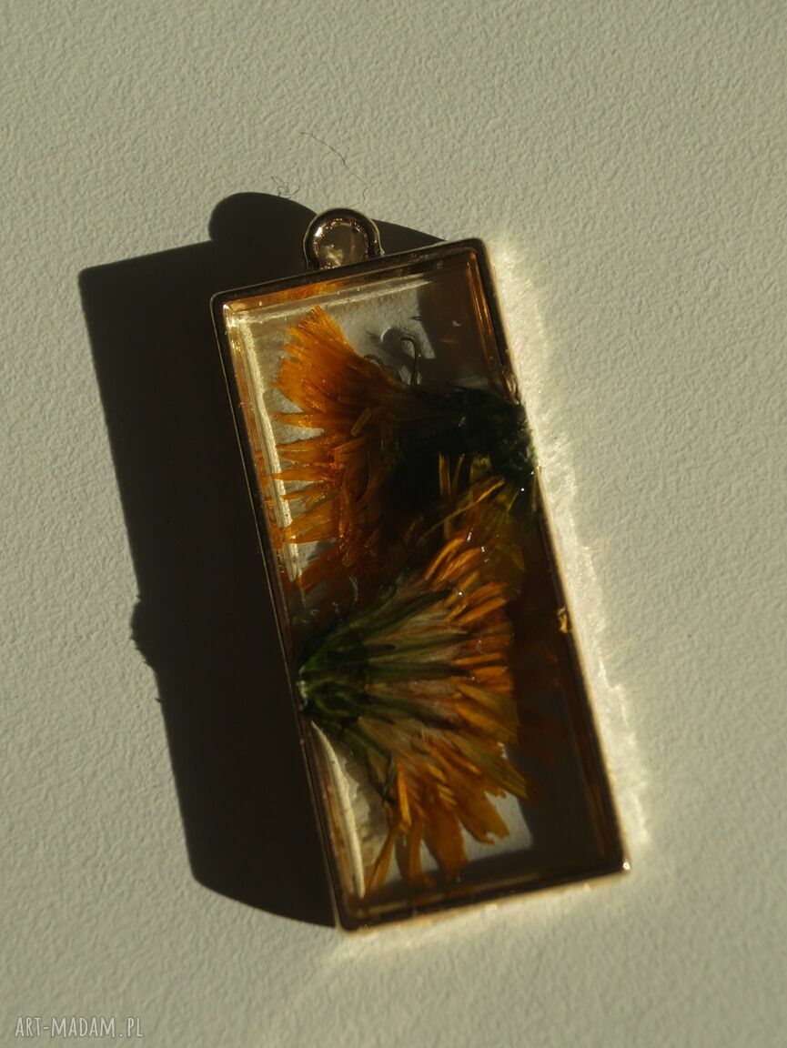 Mleczyki zawieszka żywicy mlecz prostokąt retro suszony