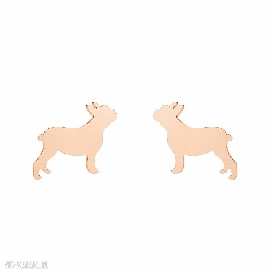Kolczyki buldogi francuskie rÓŻowego zŁoto modny buldog srebro