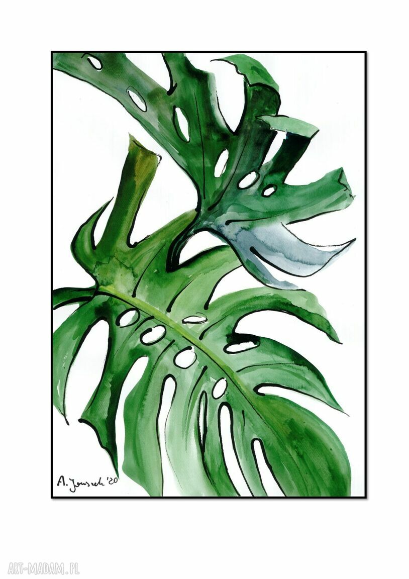 Tryptyk Monstera - ręcznie malowana grafika akwarelowa do salonu