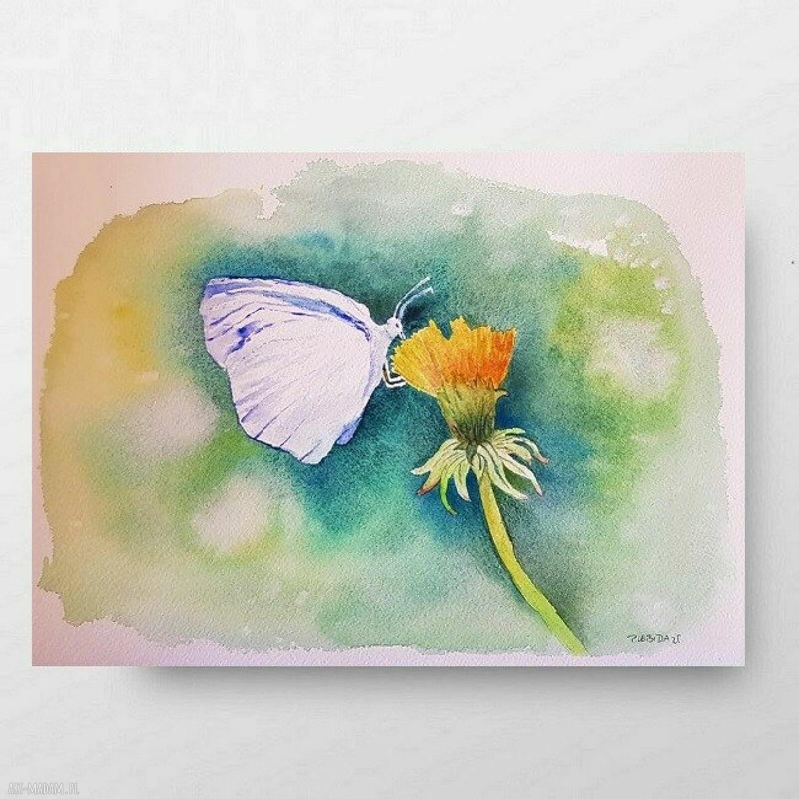 Oryginalna akwarela A4 - motyl i kwiatek