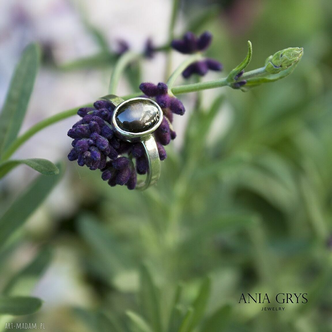Mr. Grey - pierścionek z szafirem gwiaździstym w srebrze (2.45 ct)