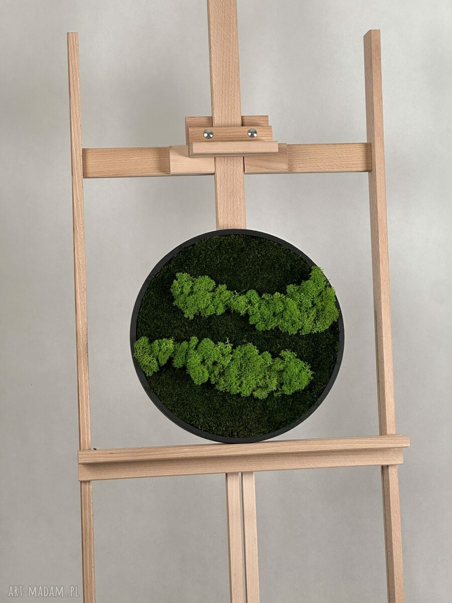 Chrobotek na Kole - okrągły obraz z mchu stabilizowanego (30 cm)