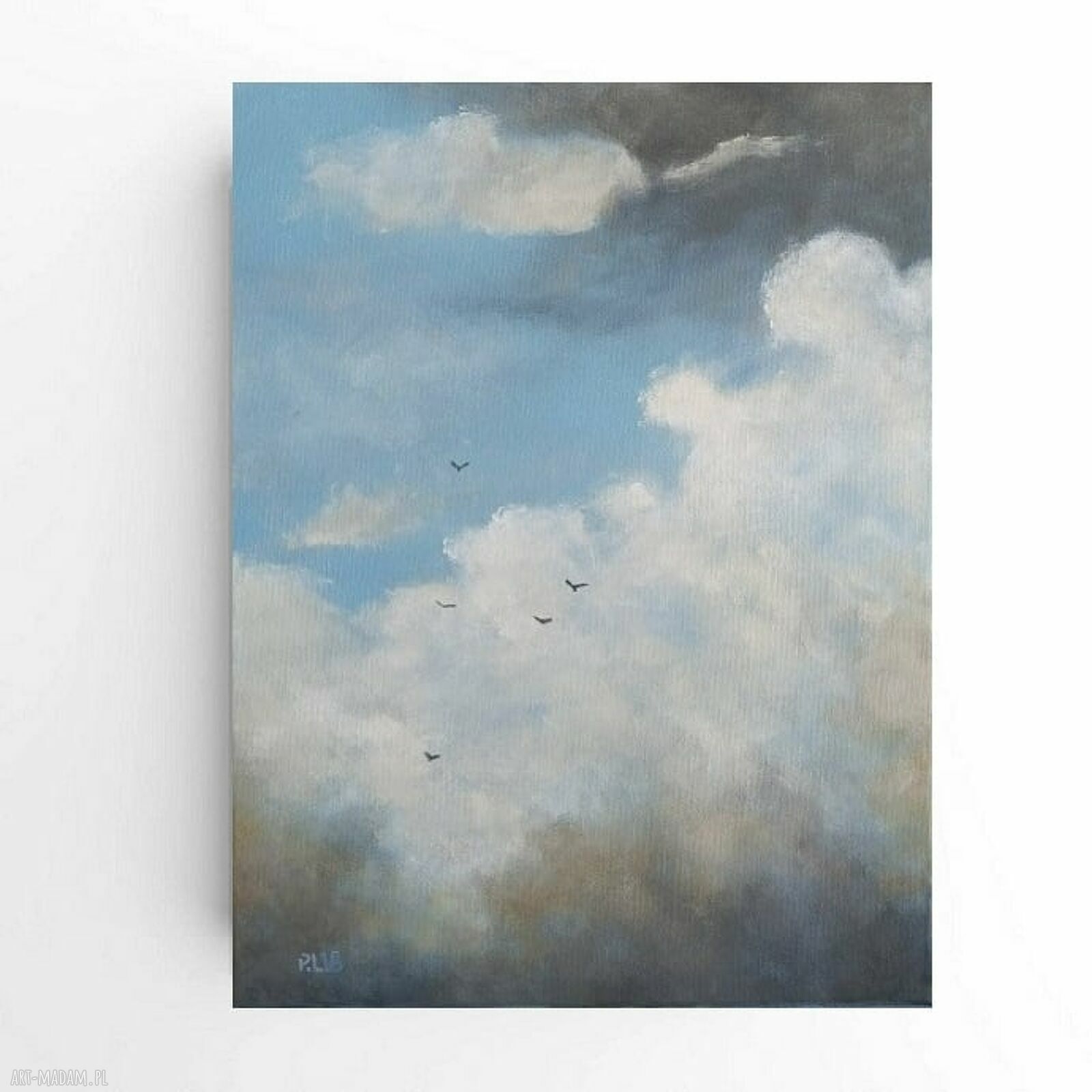 Na niebie - obraz akrylowy 40x30 cm z ptakami