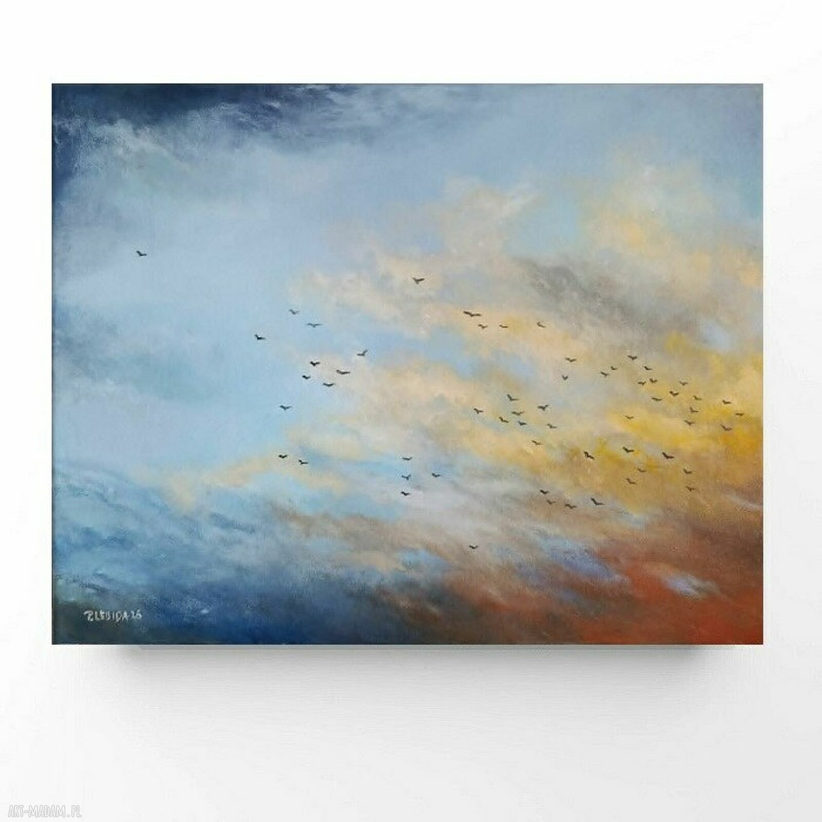 Na niebie - obraz akrylowy 40/50 cm z ptakami
