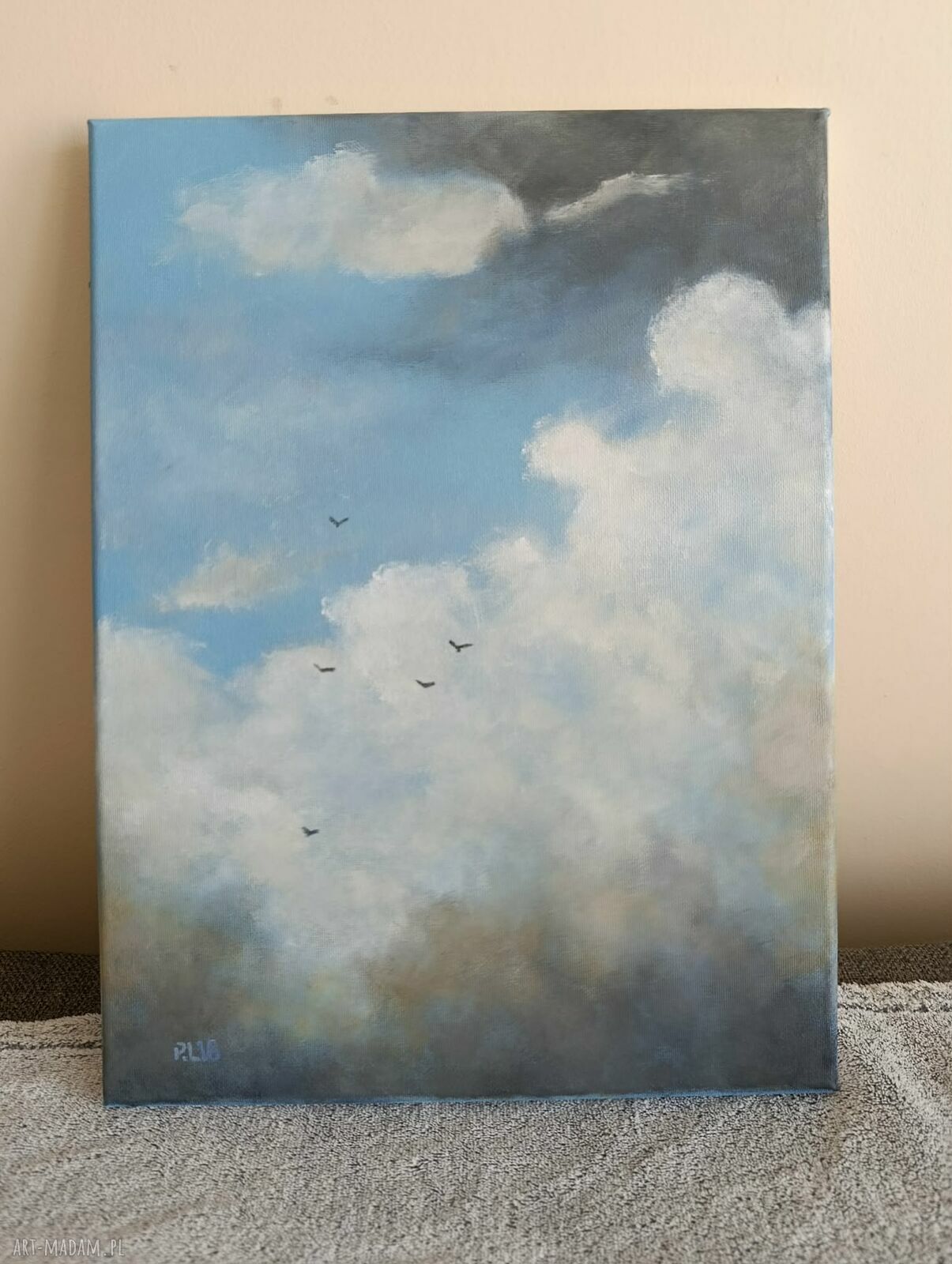Na niebie - obraz akrylowy 40x30 cm z ptakami