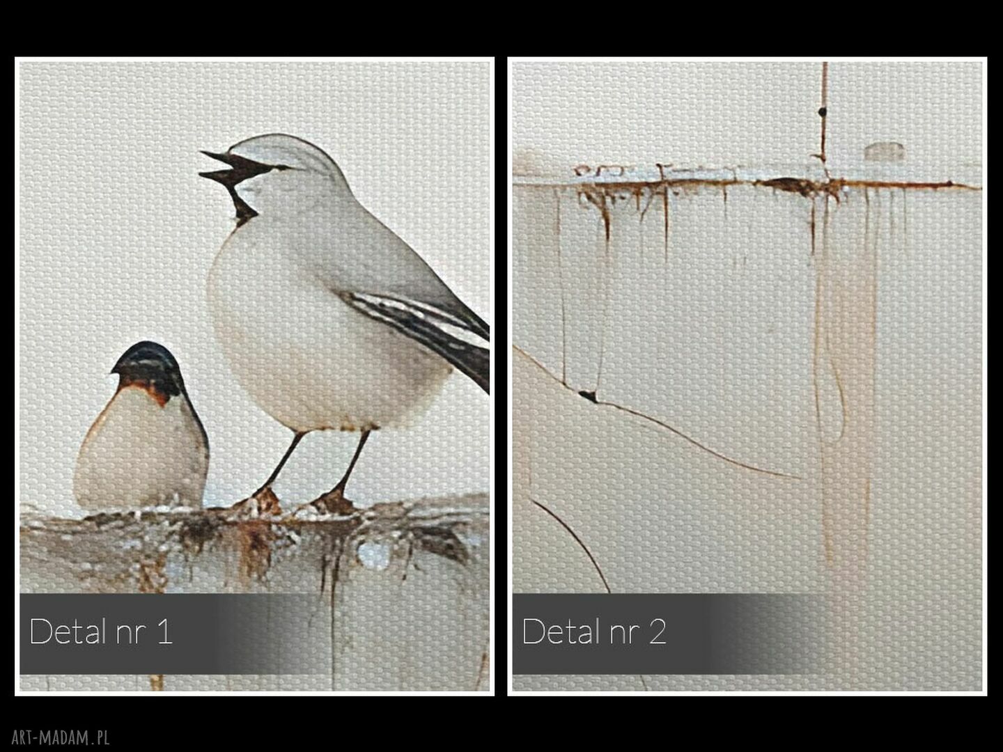 Obraz na płótnie polskie ptaki - wróble na gałęzi 120x80 cm