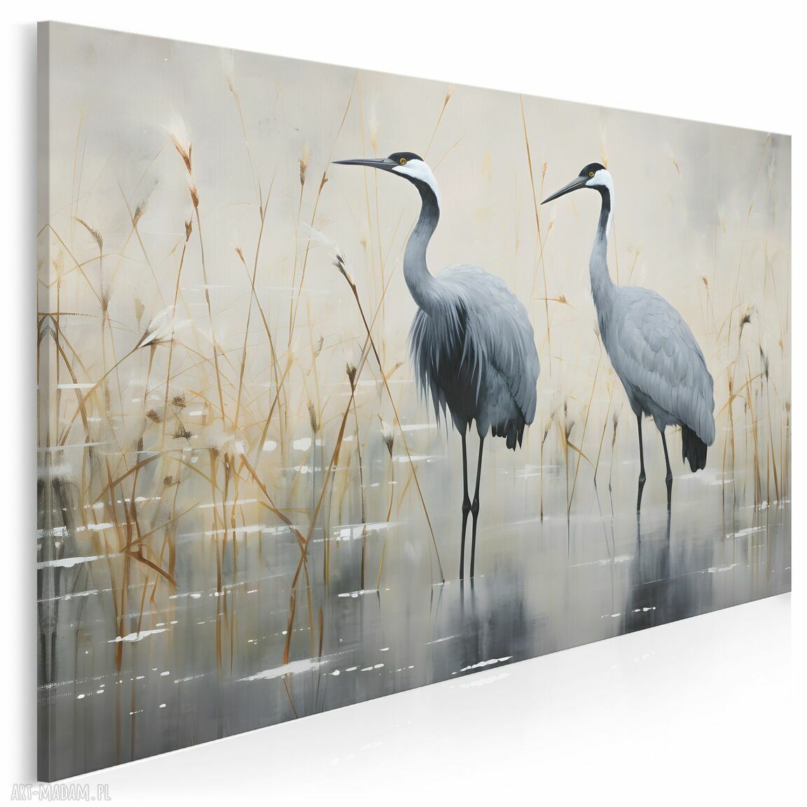 Obraz na płótnie Żurawie i czaple - elegancki 120x80 cm