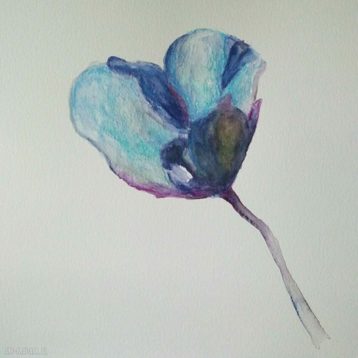 Niebieski mak - akwarela 25x25 cm
