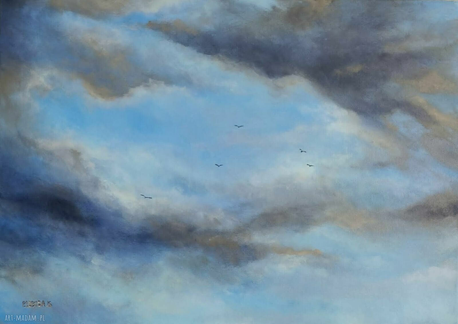 NIEBO - obraz akrylowy 50 x 70 cm z chmurami i ptakami