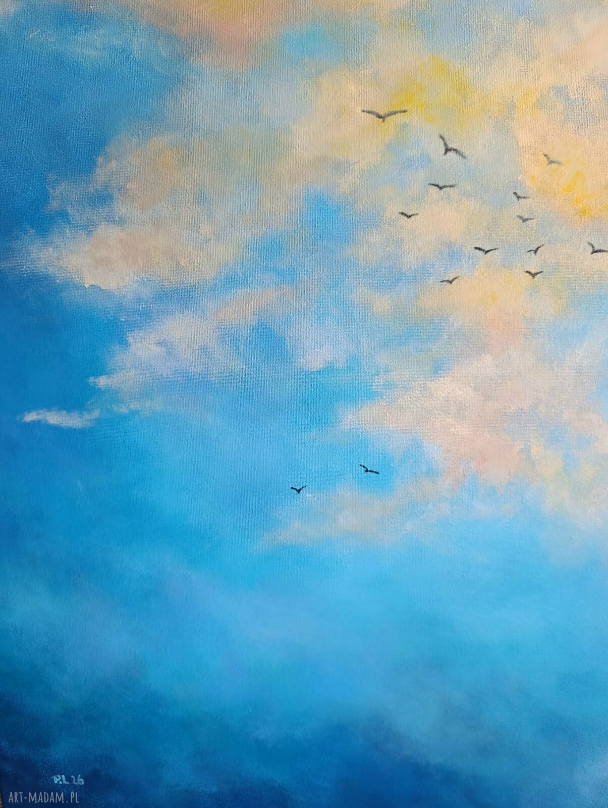 NIEBO - obraz akrylowy 60x50 cm z pejzażem i ptakami