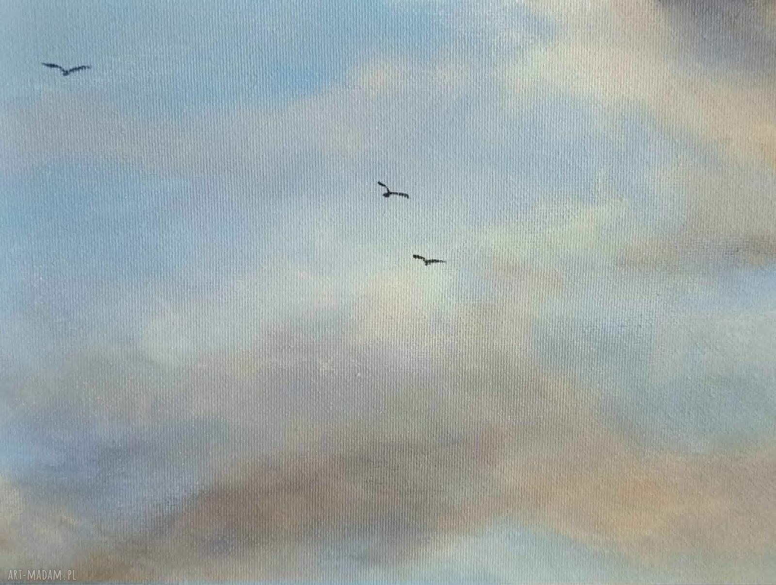 NIEBO - obraz akrylowy 50 x 70 cm z chmurami i ptakami
