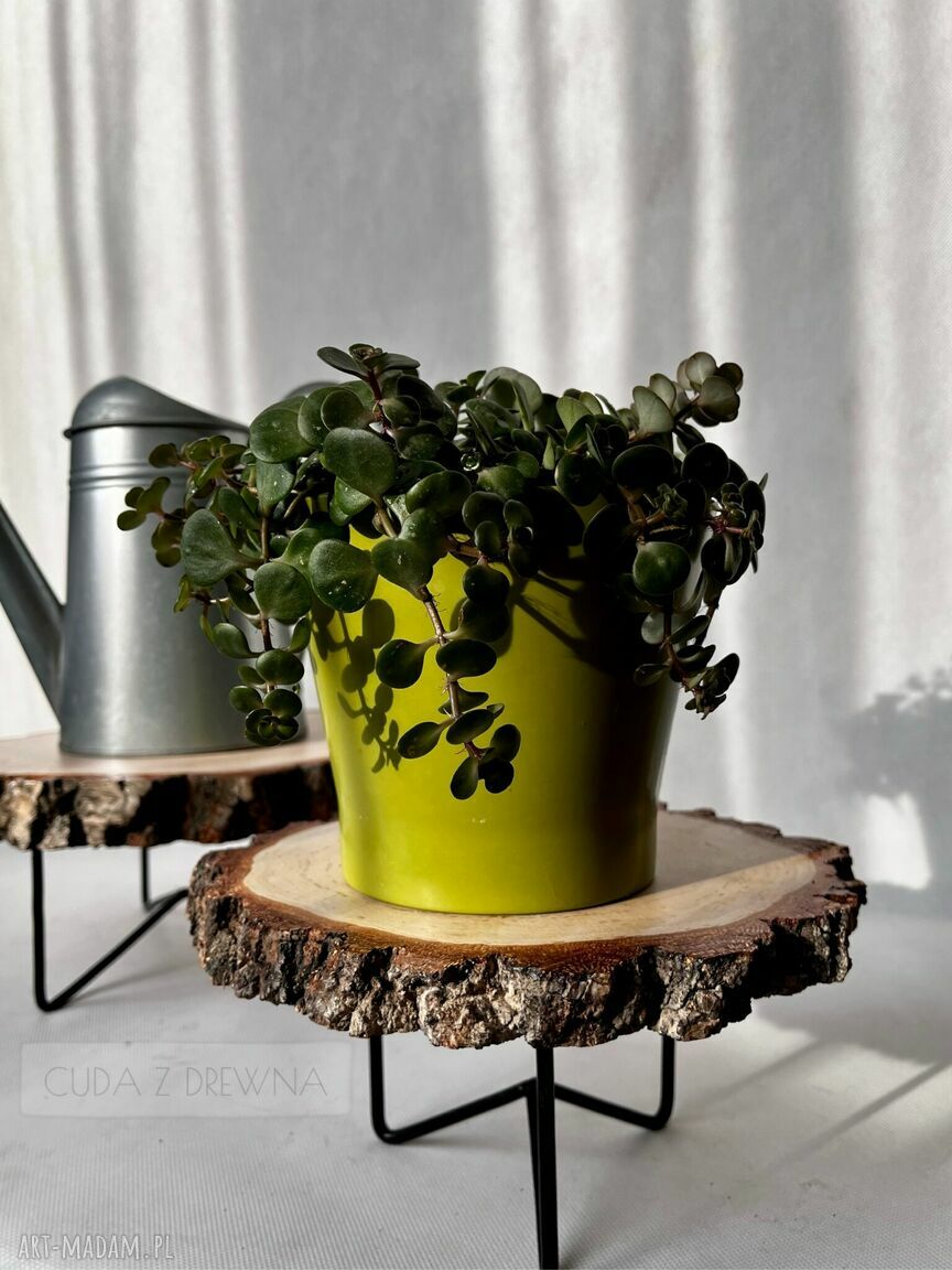 dekoracje: Nowoczesna podstawka drewniana, boho, rustykalna, eko hand made