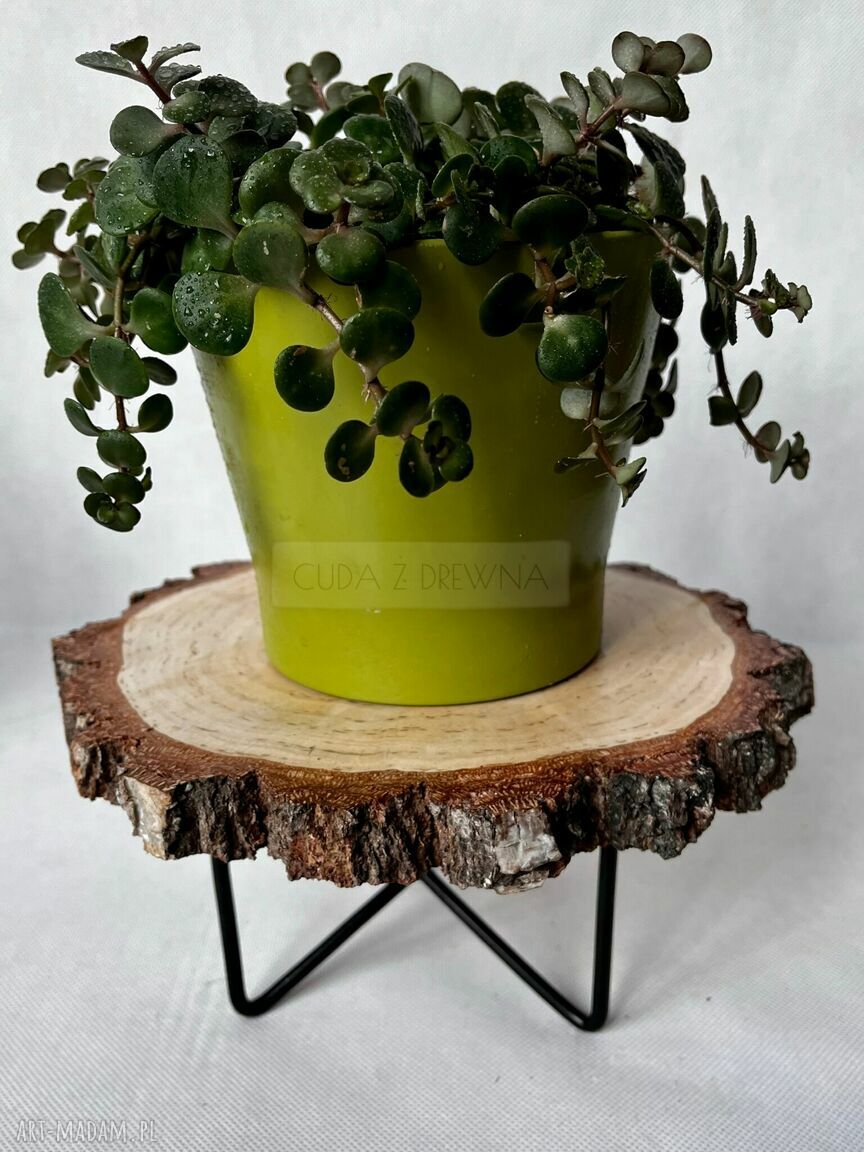 Nowoczesna podstawka drewniana boho rustykalna eko dodatek stól