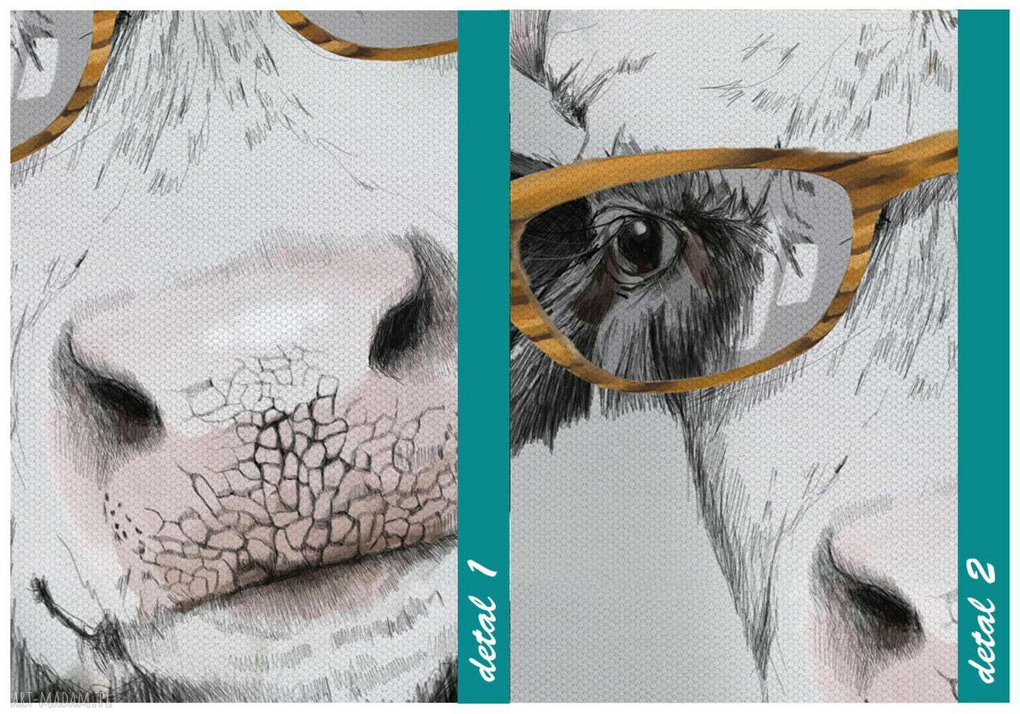 Nowoczesny obraz na płótnie - Krowa Mućka 60x80cm