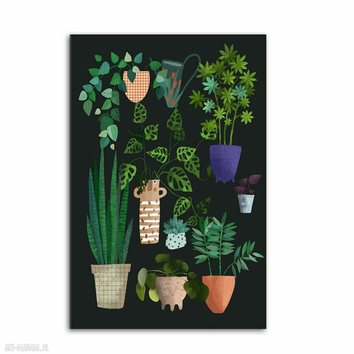 Nowoczesny obraz drukowany na płótnie PLANTS 03192 70x100 cm - rośliny i kwiatki
