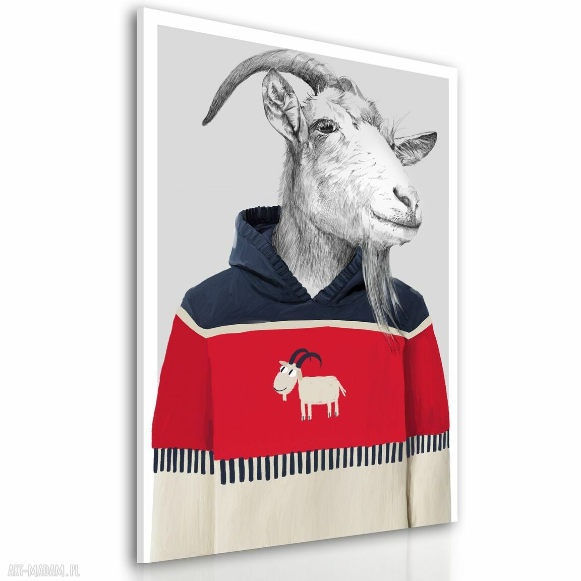 Nowoczesny obraz drukowany na płótnie - Kozioł BAZYLI w swetrze 70x100 cm
