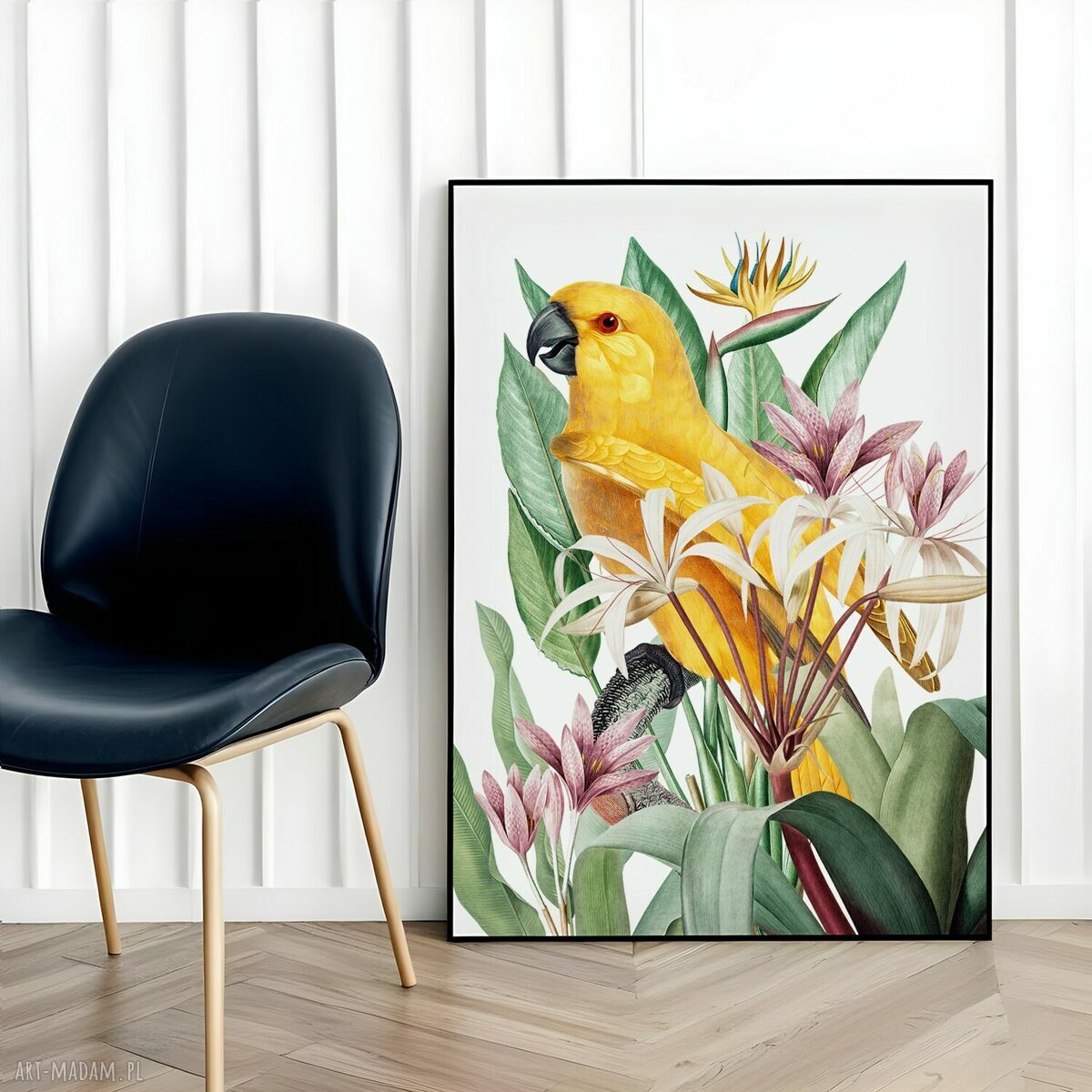 Papuga w kwiatach - obramowany plakat 40x50 cm w czarnej ramie