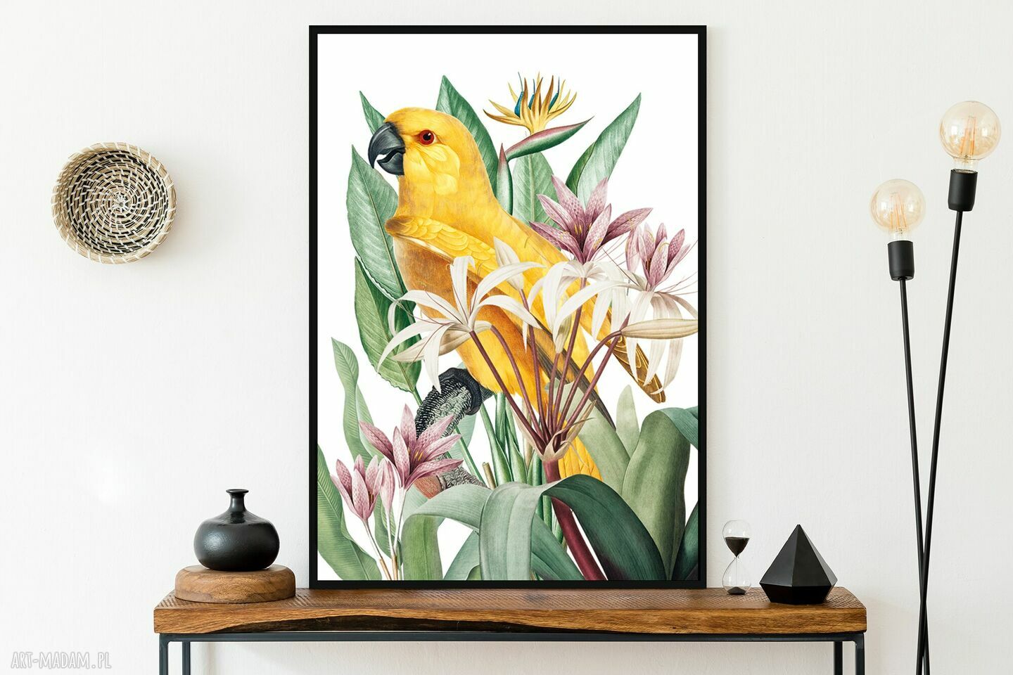 Papuga w kwiatach - obramowany plakat 40x50 cm w czarnej ramie