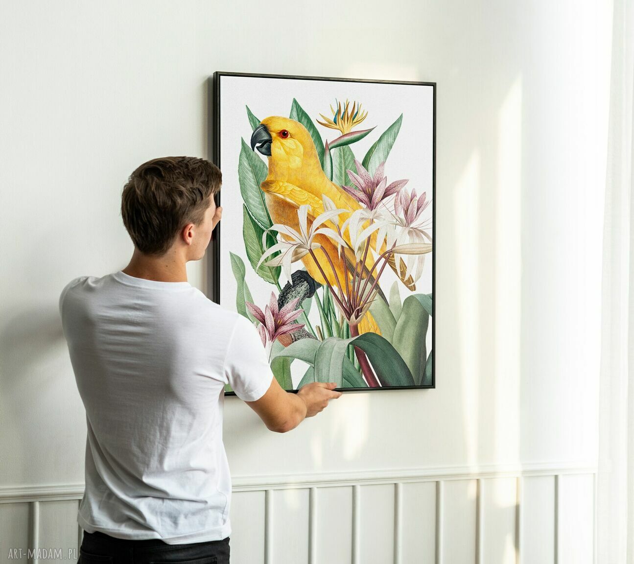 Papuga w kwiatach - obramowany plakat botaniczny 61x91 cm w czarnej ramie