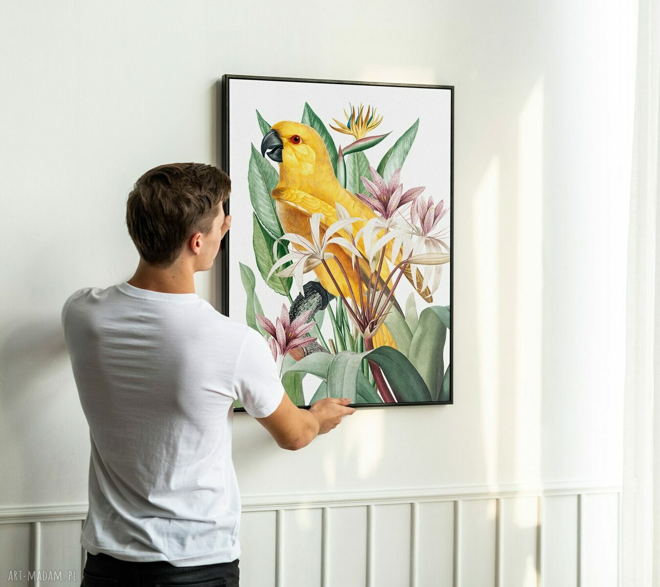 Obramowany plakat Papuga w kwiatach w czarnej ramie, 50x70 cm