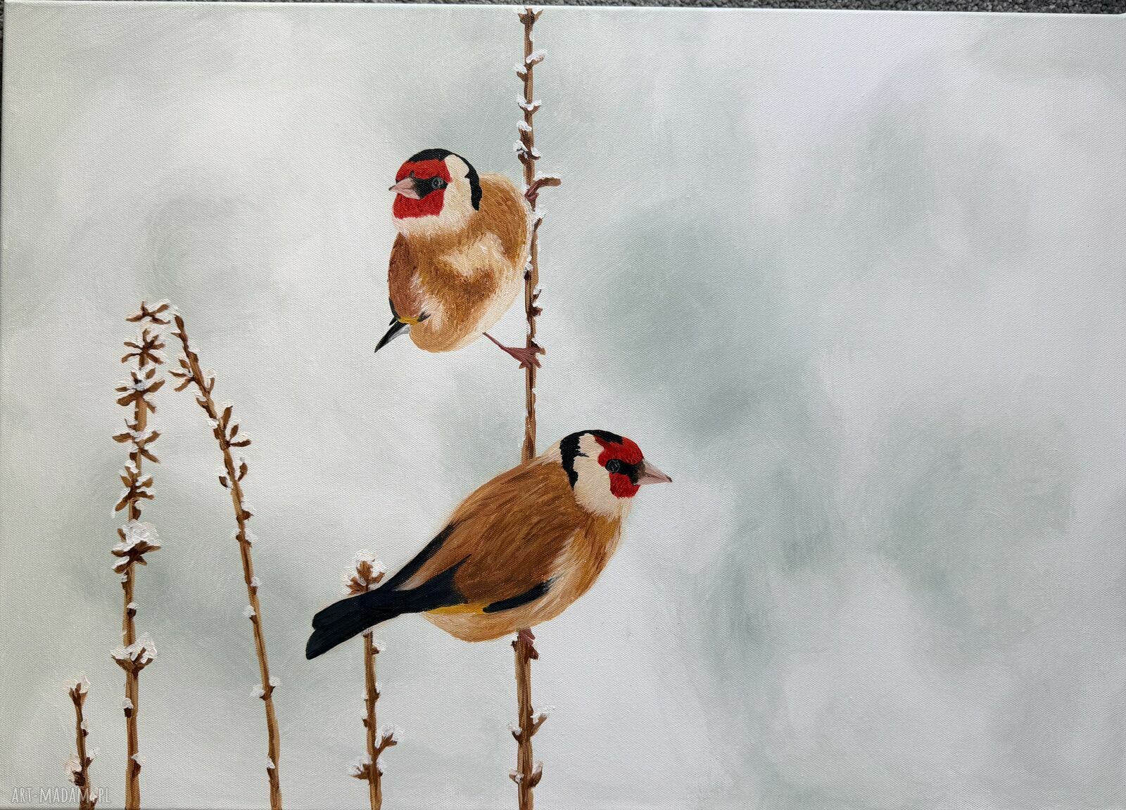 Obraz akrylowy z zimowymi ptakami 50x70 cm