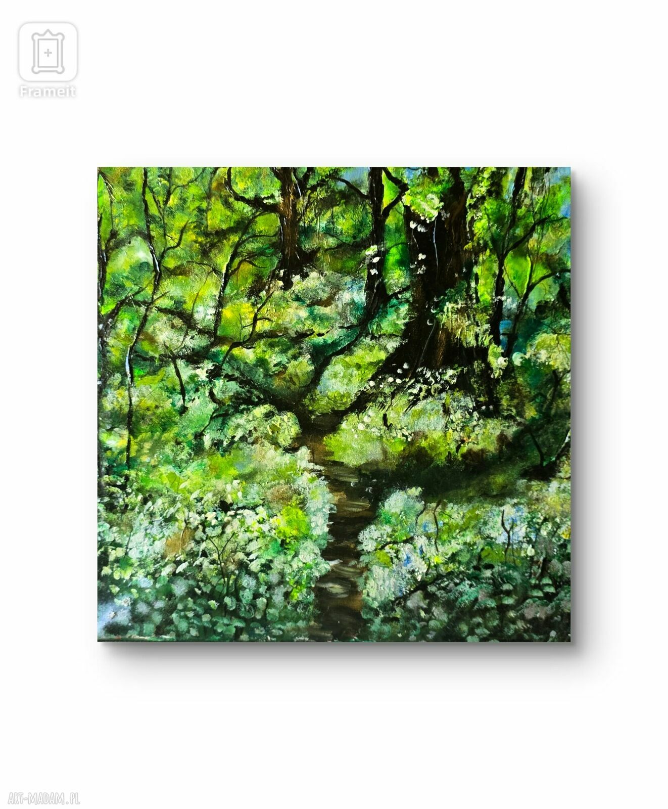 Obraz akrylowy Natura - kwiat na blejtramie 50x50 cm