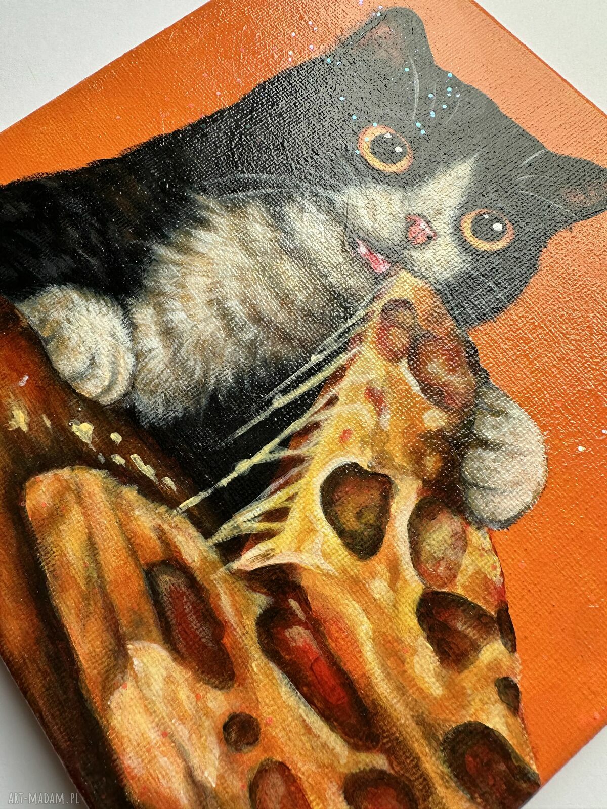 Obraz akrylowy „Moment” - kot z pizzą dla kociary