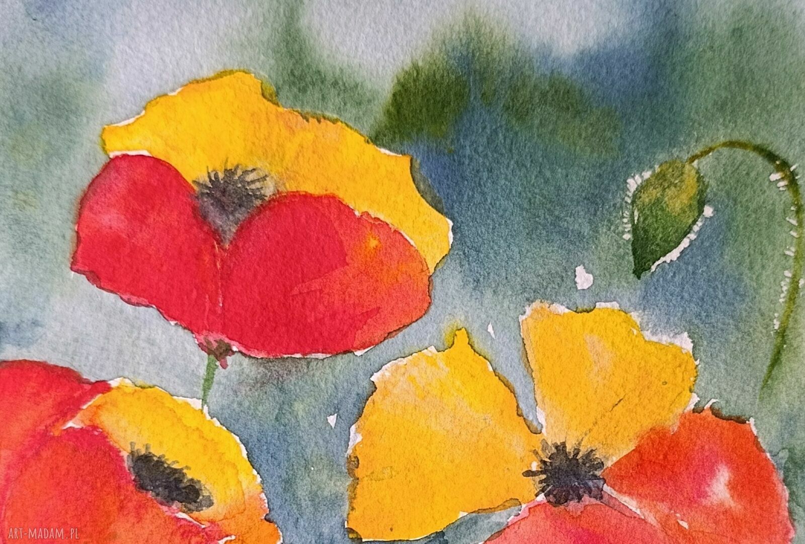 Obraz akwarela Radosne maki 24x32 cm