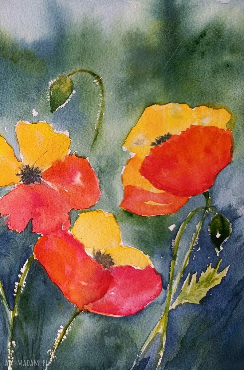 Obraz akwarela Radosne maki 24x32 cm