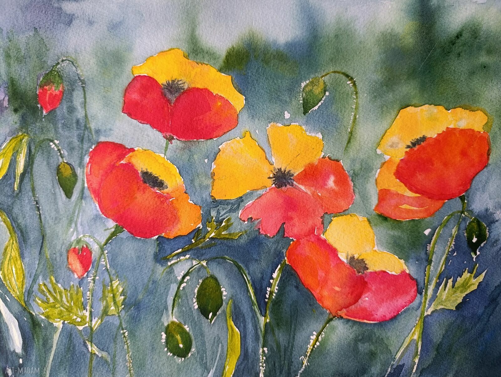 Obraz akwarela Radosne maki 24x32 cm