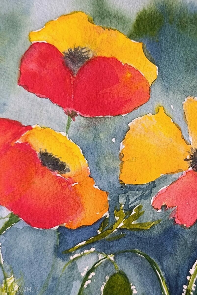 Obraz akwarela Radosne maki 24x32 cm