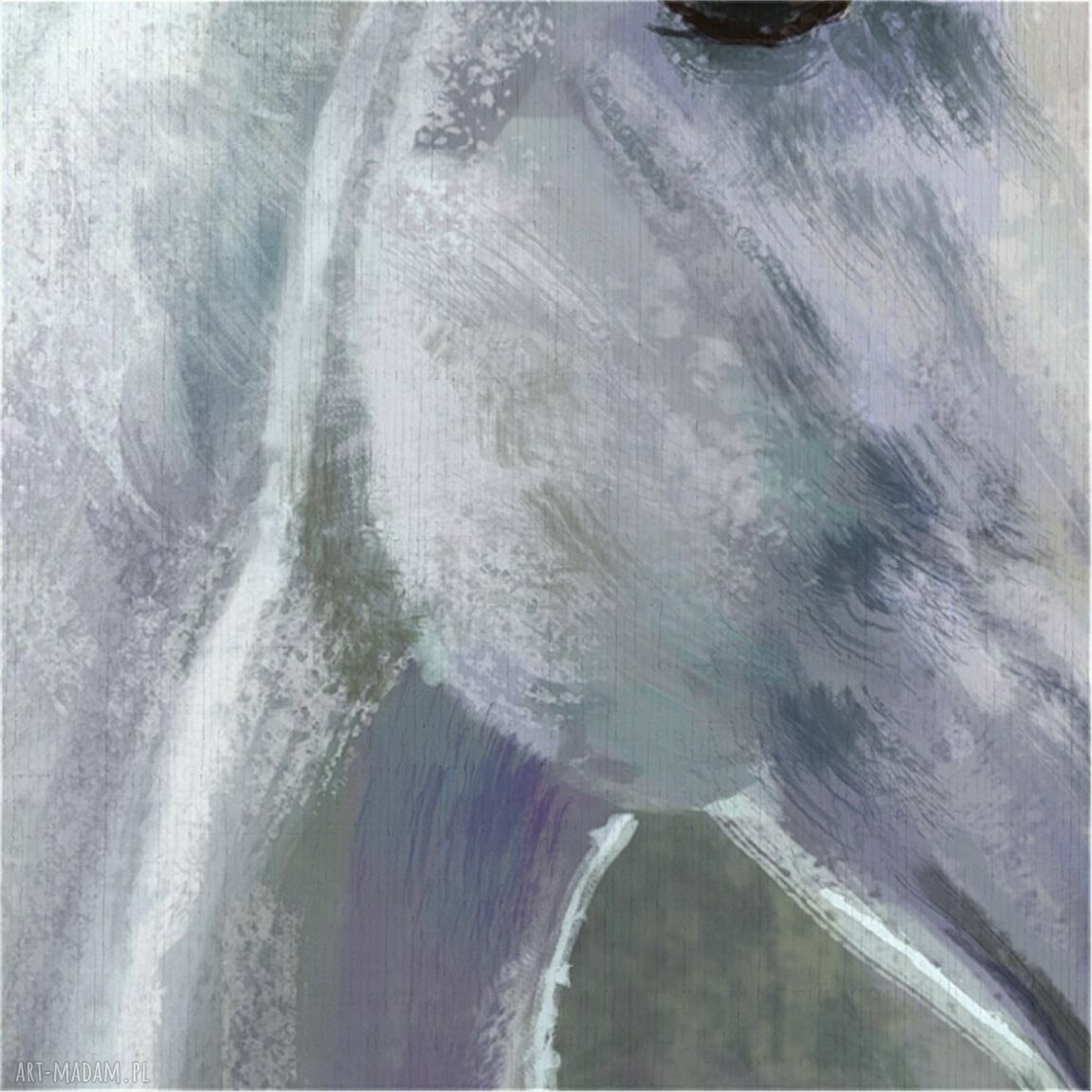Obraz Biały Koń 100x70 cm - gotowy do zawieszenia na płótnie