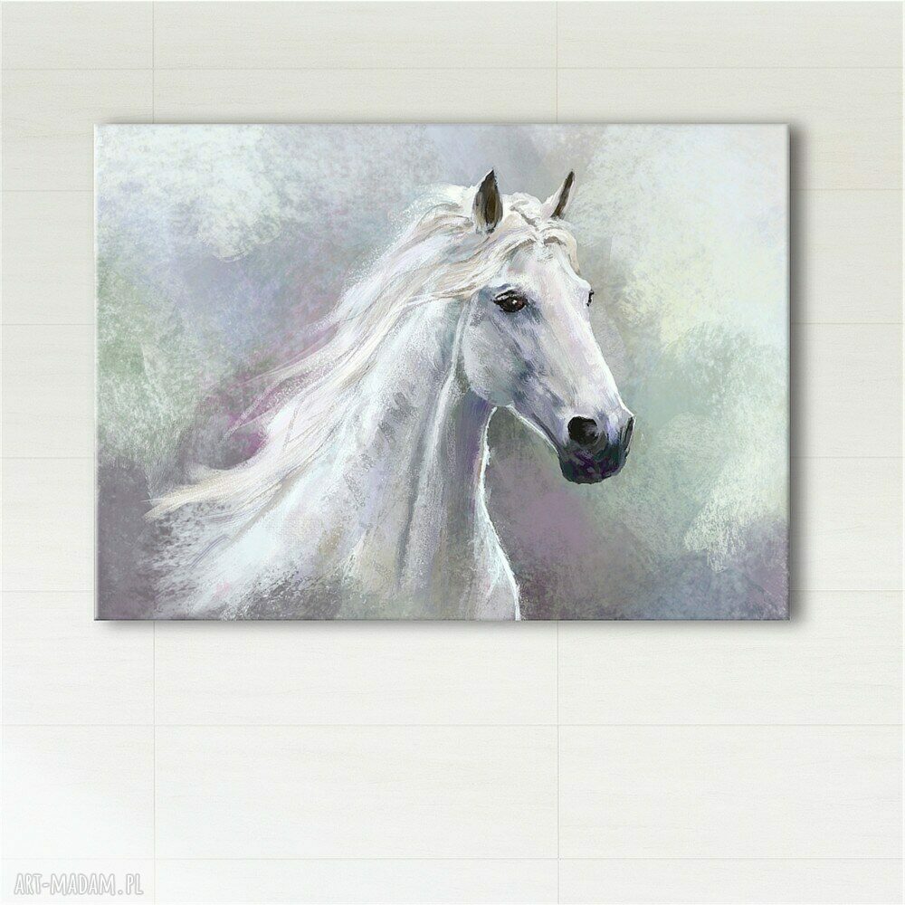 Obraz Biały Koń 100x70 cm - gotowy do zawieszenia na płótnie