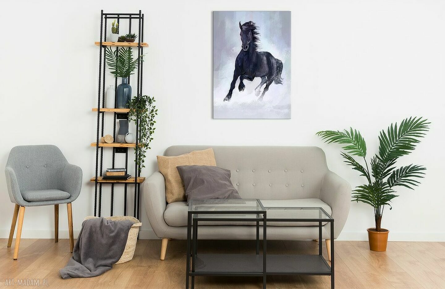 Obraz Czarny Koń na płótnie 70x50 cm - gotowy do zawieszenia