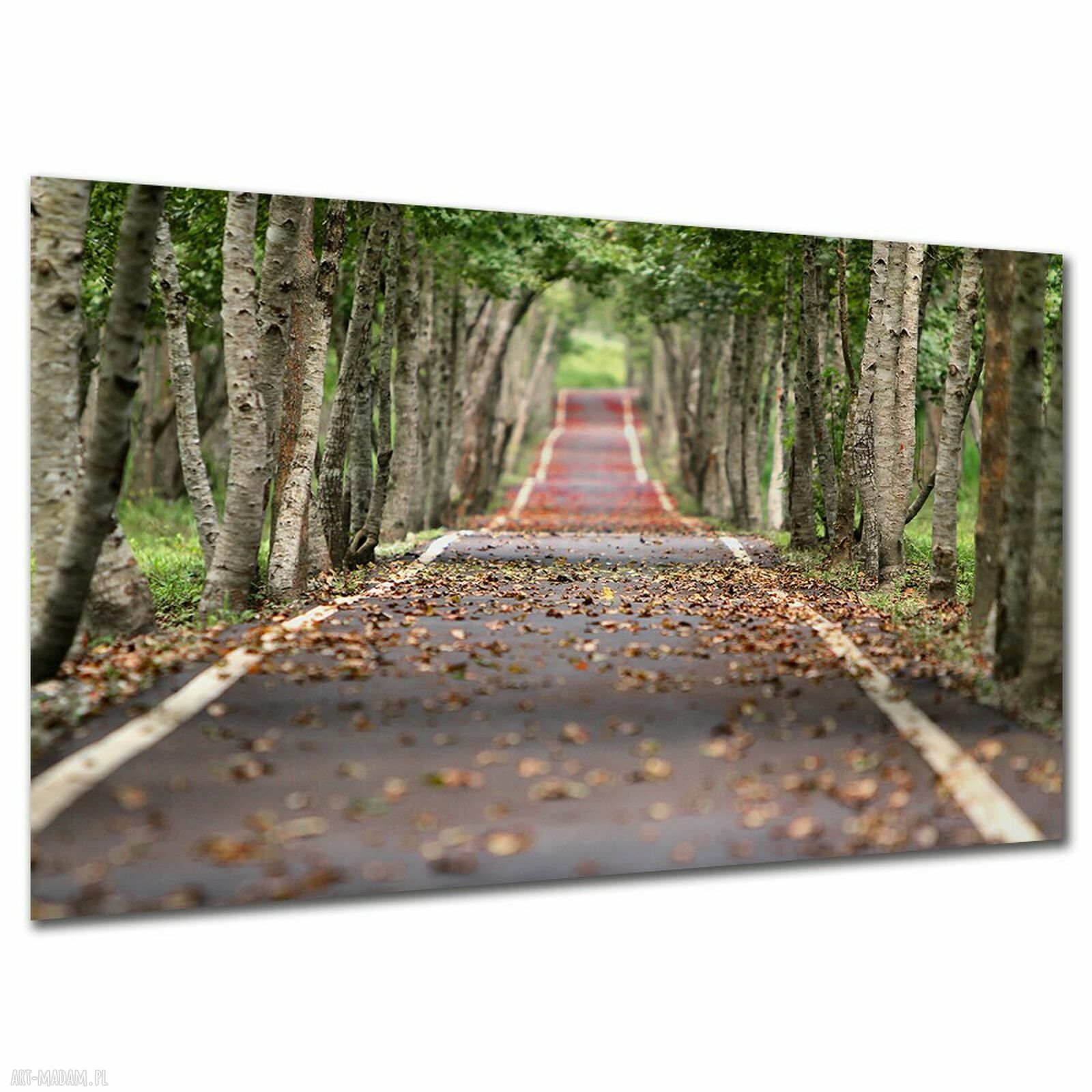Obraz do salonu i korytarza - leśna alejka na płótnie 120x80 cm