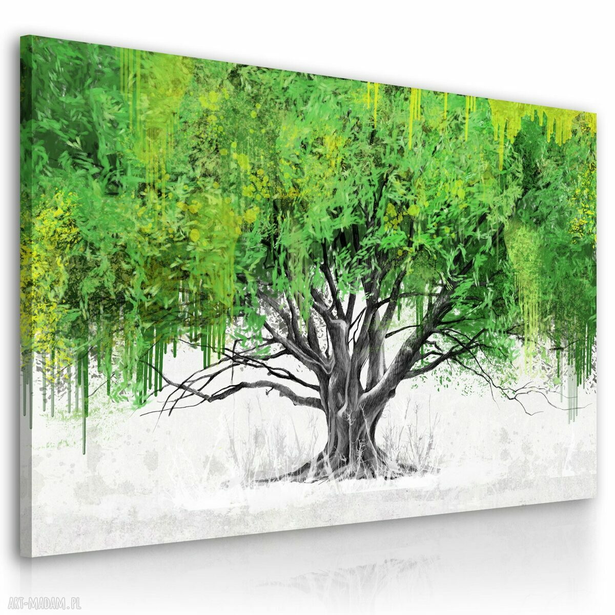 Zielone drzewo - obraz drukowany na płótnie do salonu i sypialni 120x80 cm