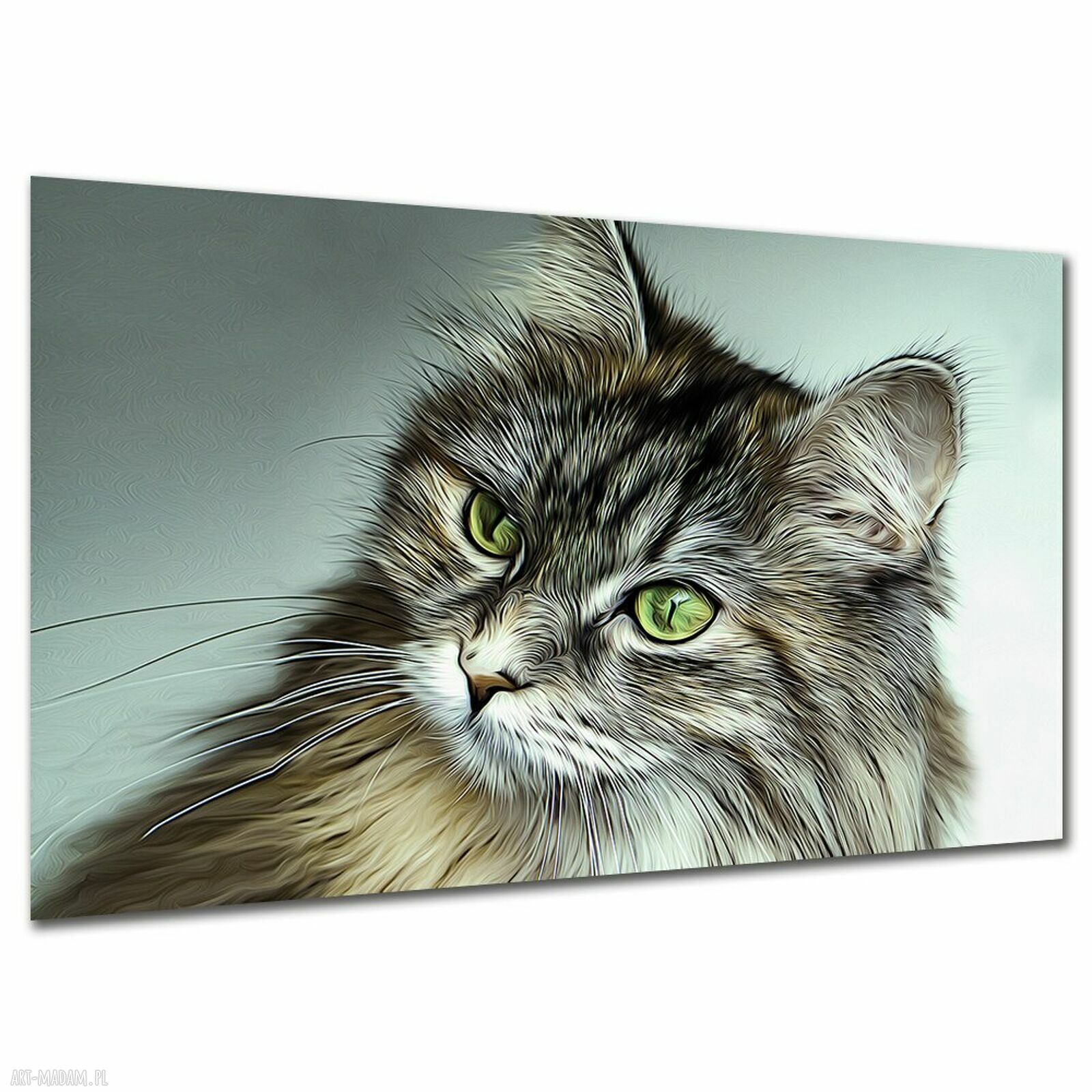 Obraz na płótnie z puszystym kotem norweskim 120x80 cm