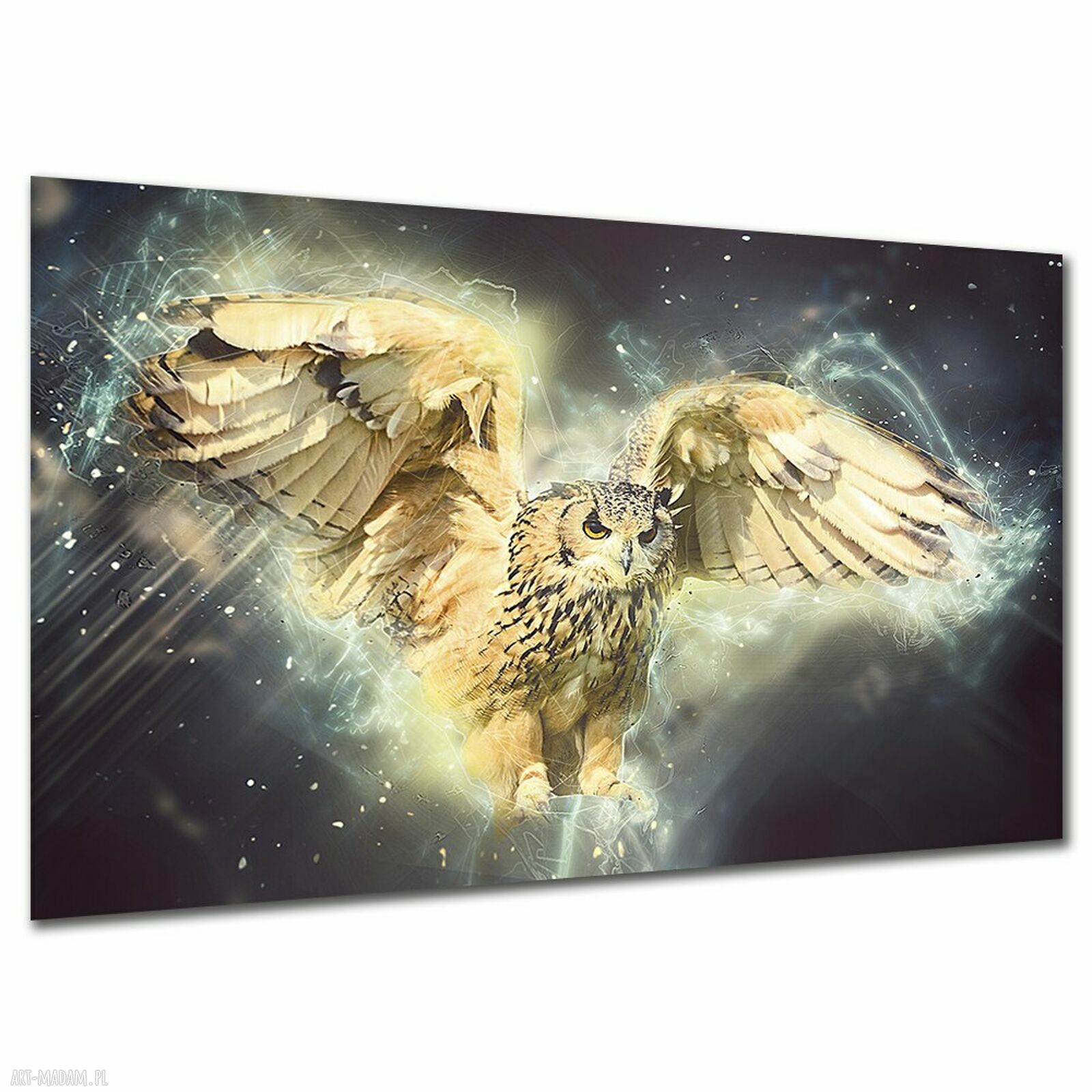 Obraz do sypialni na płótnie - sowa w locie 120x80 cm