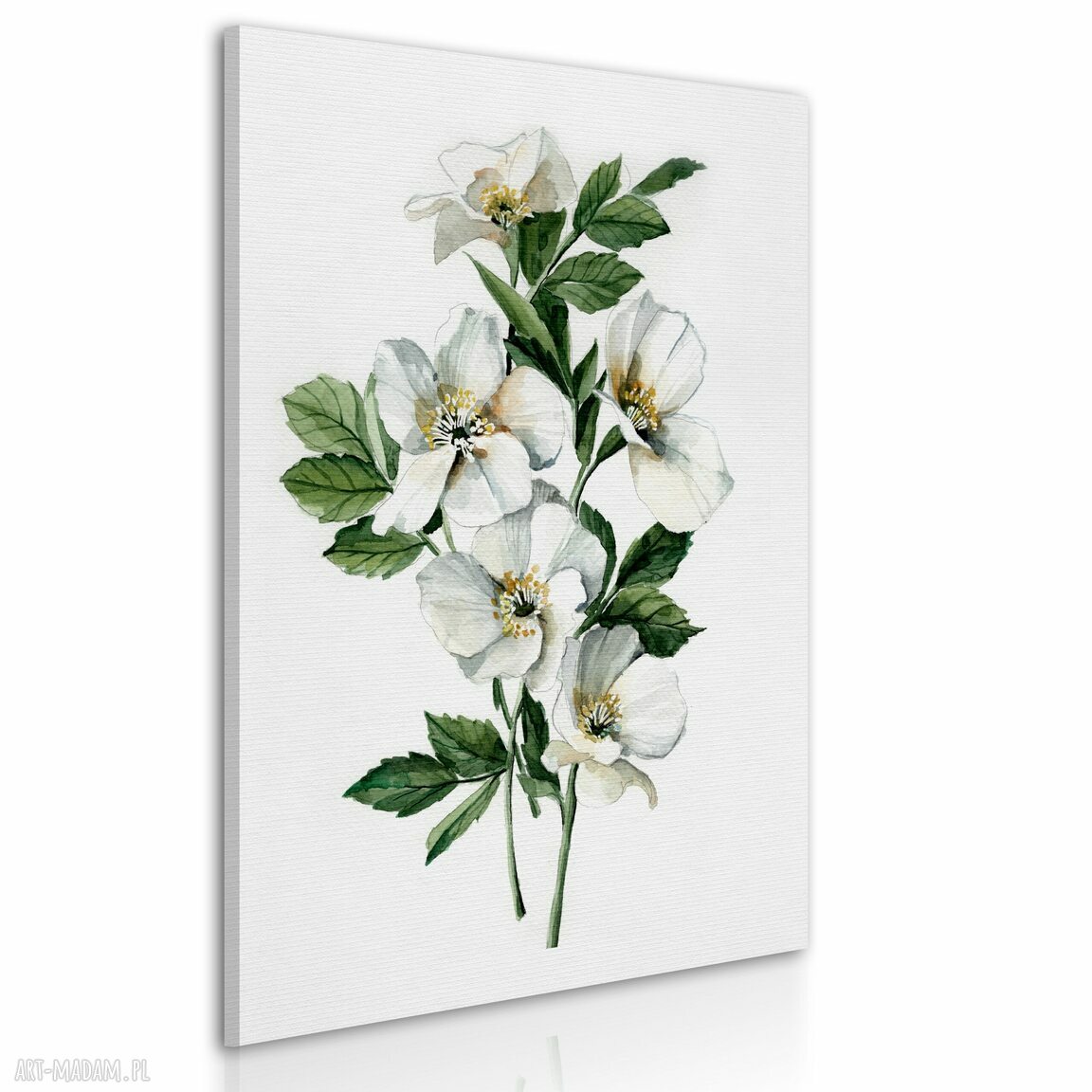 Obraz drukowany na płótnie BIAŁE KWIATY 50x70 cm 03155 - gotowy do powieszenia
