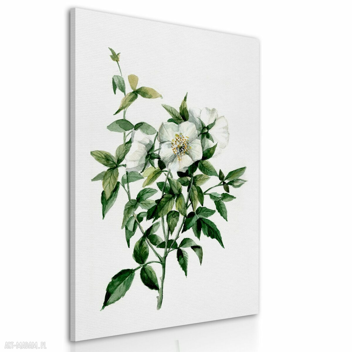 Obraz na płótnie z białymi kwiatami 50x70 cm w stylu boho