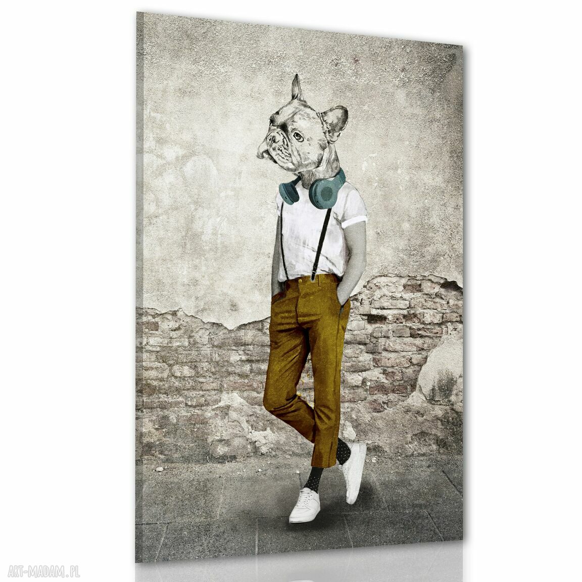 Obraz drukowany na płótnie Buldog w spodniach 80x120 cm do pokoju nastolatka