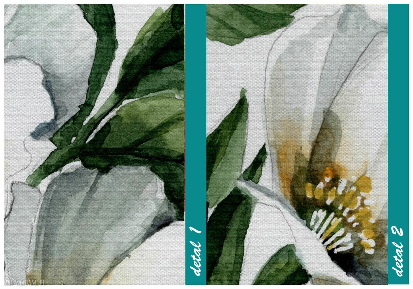 Obraz drukowany na płótnie BIAŁE KWIATY 50x70 cm 03155 - gotowy do powieszenia