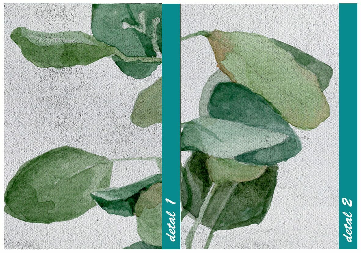 Obraz Eukaliptus 40x60 cm do salonu